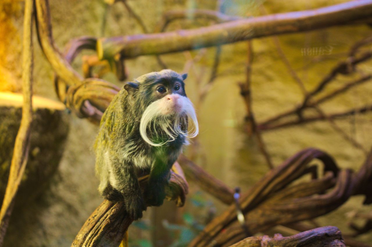 Calando Pflegedienst im Zoo Dresden