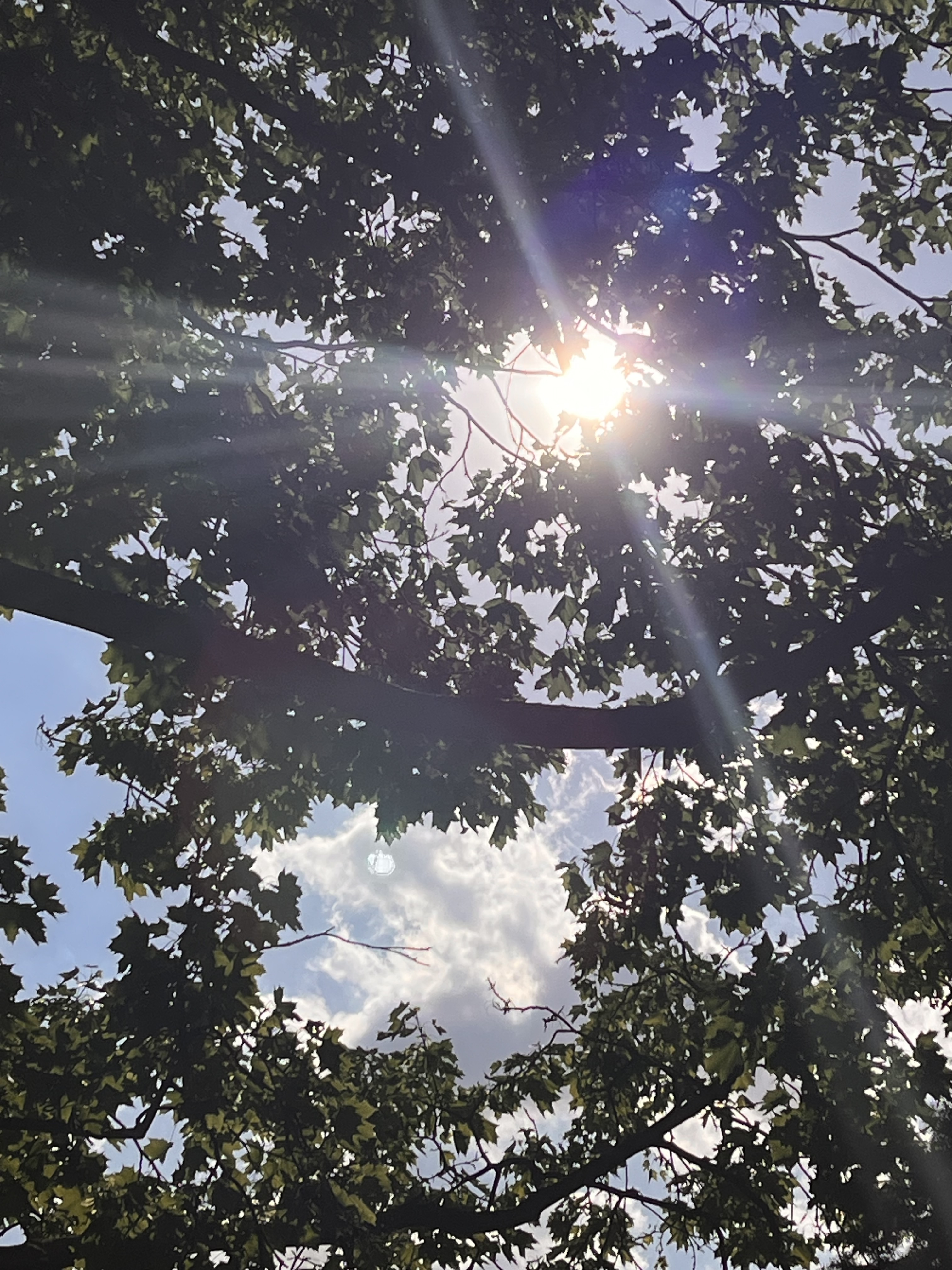 Sonne über dem Calando Pflegedienst
